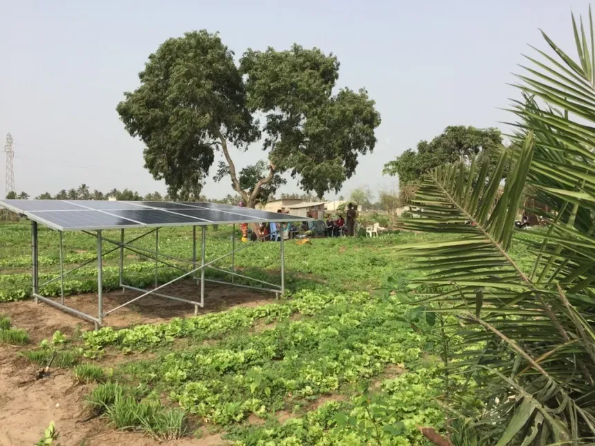 Solar panel on farm